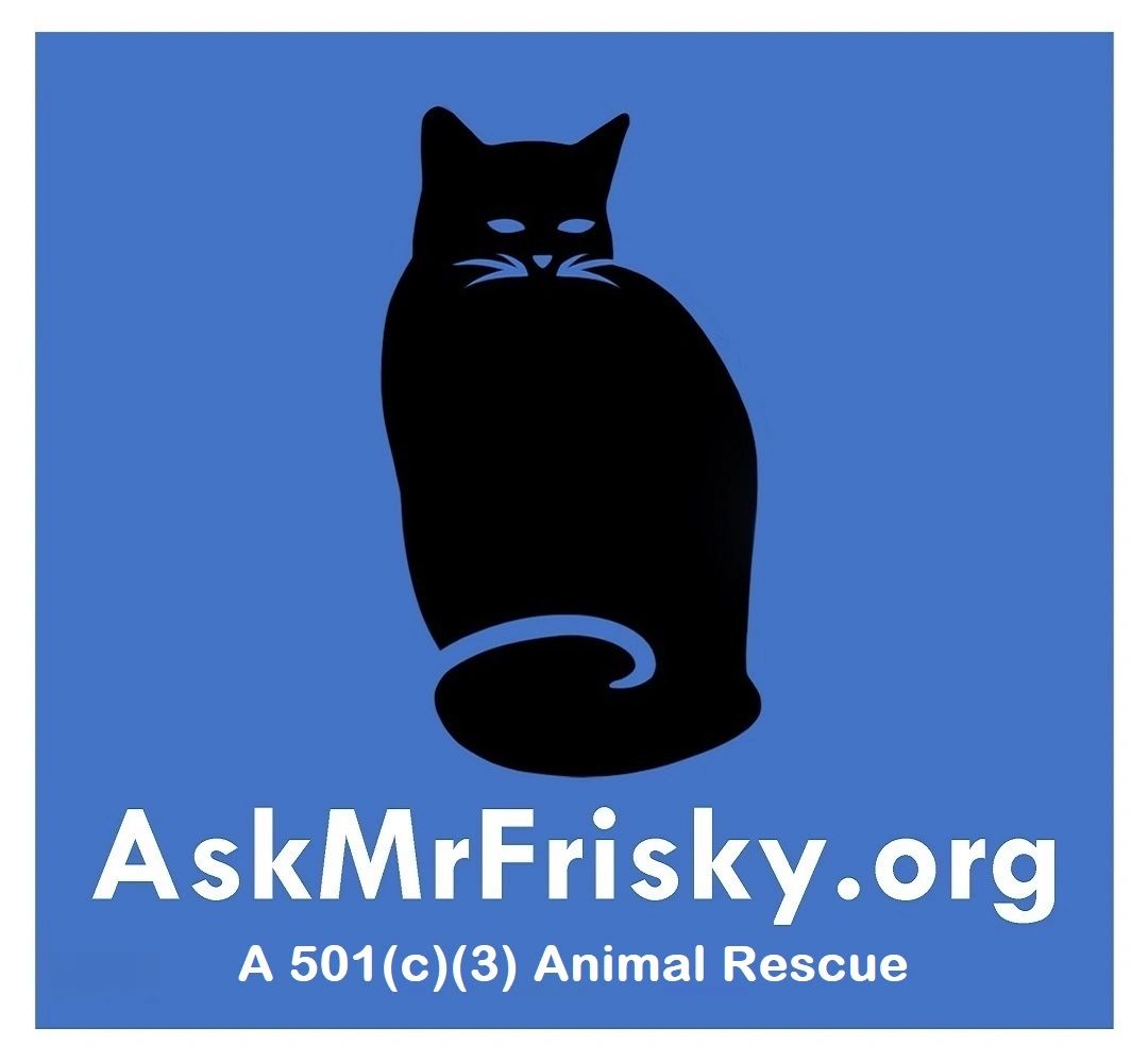 Pet Care And Resources pet-care-and-resources